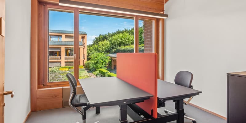 Coworking-Büro - 8702 Zollikon