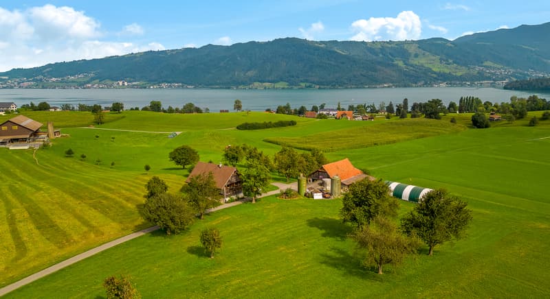 Walde Immobilien AG