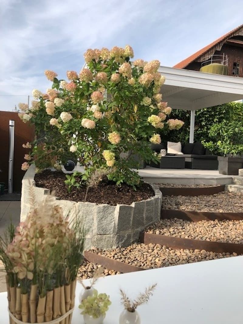 Walde Immobilien AG