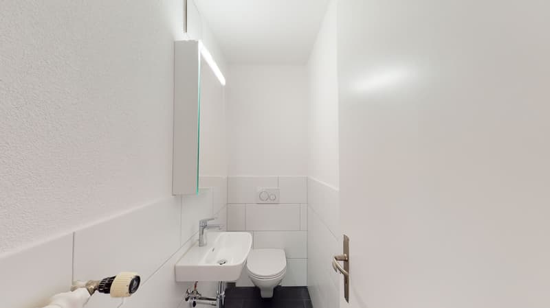 Zweiackerstr43-Zurich-WC
