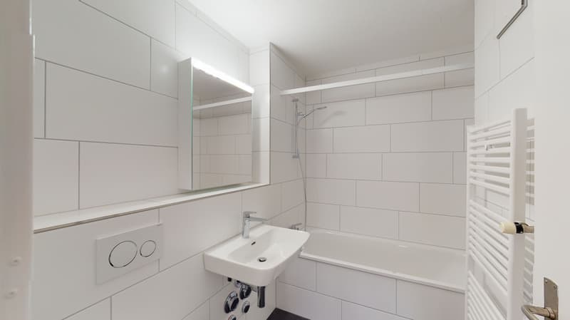 Zweiackerstr43-Zurich-Badezimmer