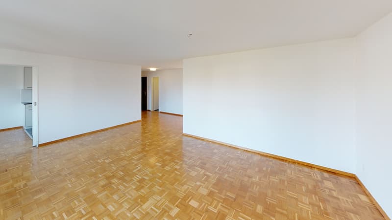3-OG-45-Poststrasse-41-Zerjavic-(3)