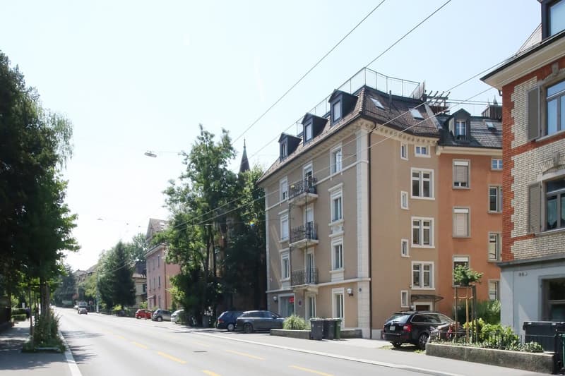 Charmante 6.5-Zimmer-Altbauwohnung am mit zwei Balkonen am Schafhauserplatz (1)
