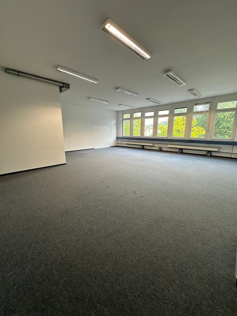 Büroflächen zwischen 95 - 300 m2 im pulsierenden Sihltal Nahe der Stadtgrenze (2)