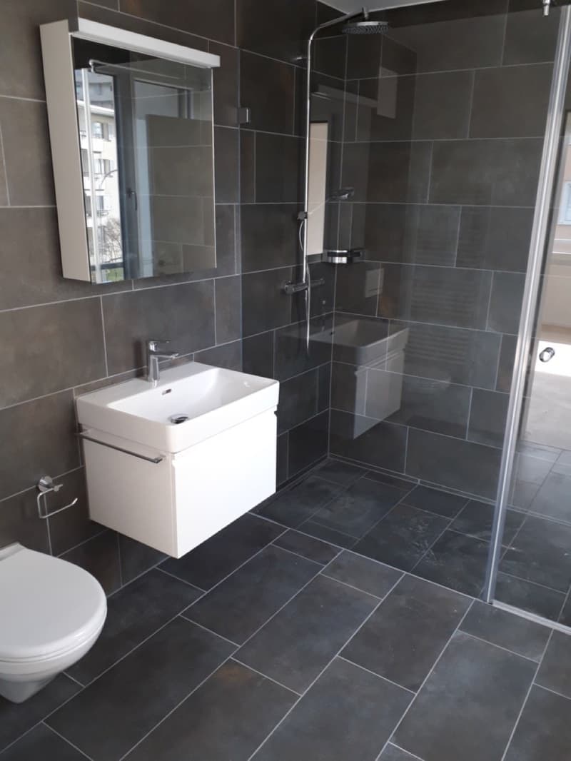 Appartement 4,5 pièces au 2e étage (norme propriétaire-occupant) 117 m2 avec 2 balcons (13)