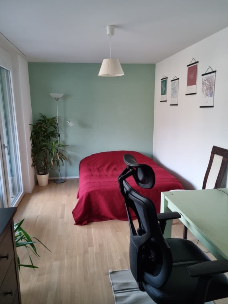 Appartement 4,5 pièces au 2e étage (norme propriétaire-occupant) 117 m2 avec 2 balcons (9)