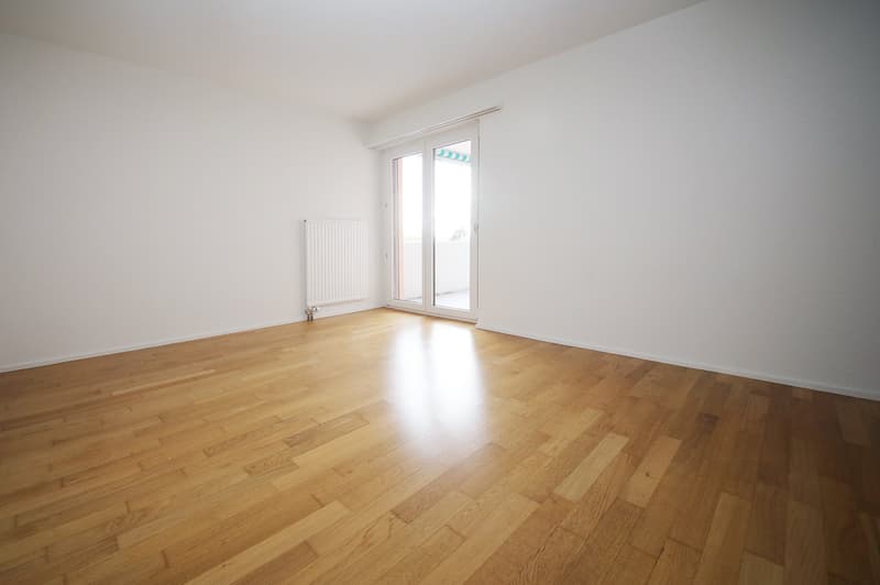Spacious 5 1/2-room apartment on the 3rd floor with 2 balconies in a quiet location (4)