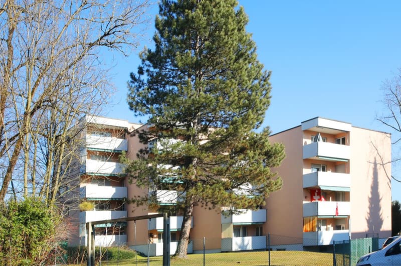 Spacious 5 1/2-room apartment on the 3rd floor with 2 balconies in a quiet location (15)