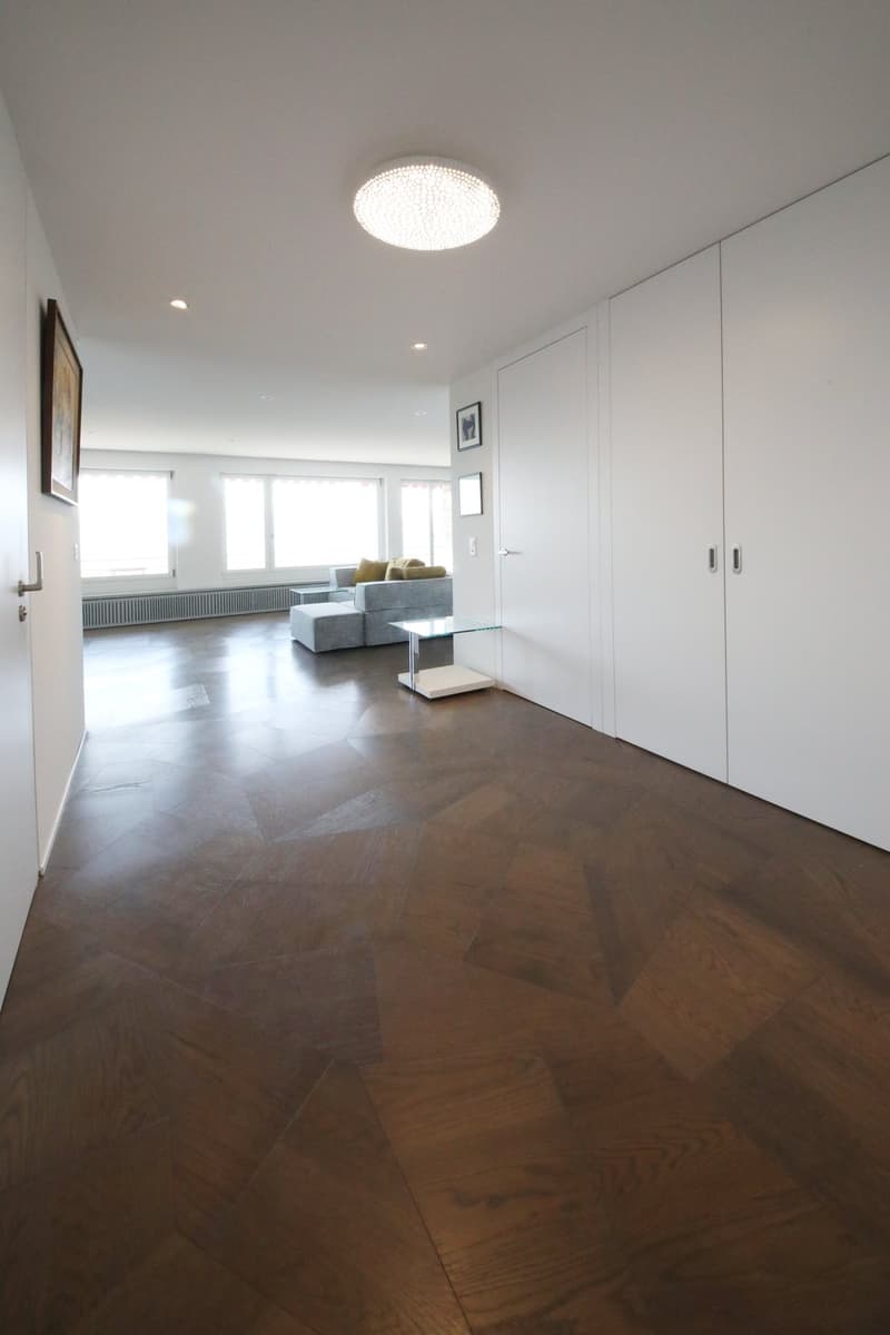 Objet de prédilection - appartement 5 1/2 pièces avec terrasse et vue imprenable sur Zurich, lac et montagnes (7)