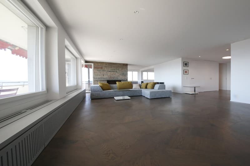 Objet de prédilection - appartement 5 1/2 pièces avec terrasse et vue imprenable sur Zurich, lac et montagnes (2)