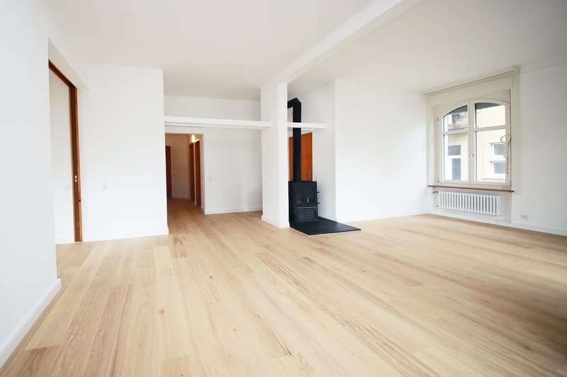 Appartement charmant de 3 1/2 pièces avec balcon, meilleure situation, district 6 (3)
