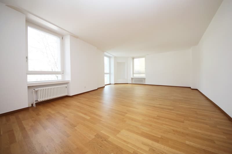 Well-maintained 3 1/2-room apartment (103 m2), in the heart of district 7 (2)