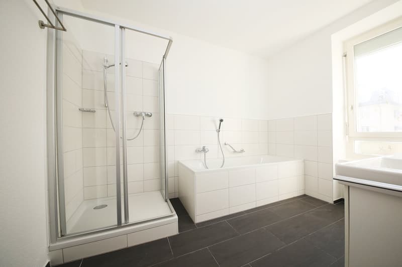 Well-maintained 3 1/2-room apartment (103 m2), in the heart of district 7 (8)