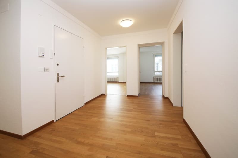Well-maintained 3 1/2-room apartment (103 m2), in the heart of district 7 (6)