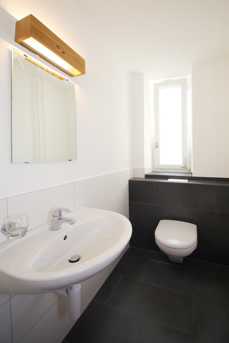 Well-maintained 3 1/2-room apartment (103 m2), in the heart of district 7 (10)