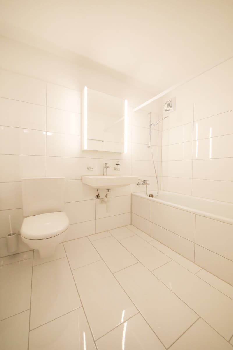 Sonnige 3.5 Zimmer-Wohnung (85m2) mit grossem Balkon (16m2) (7)