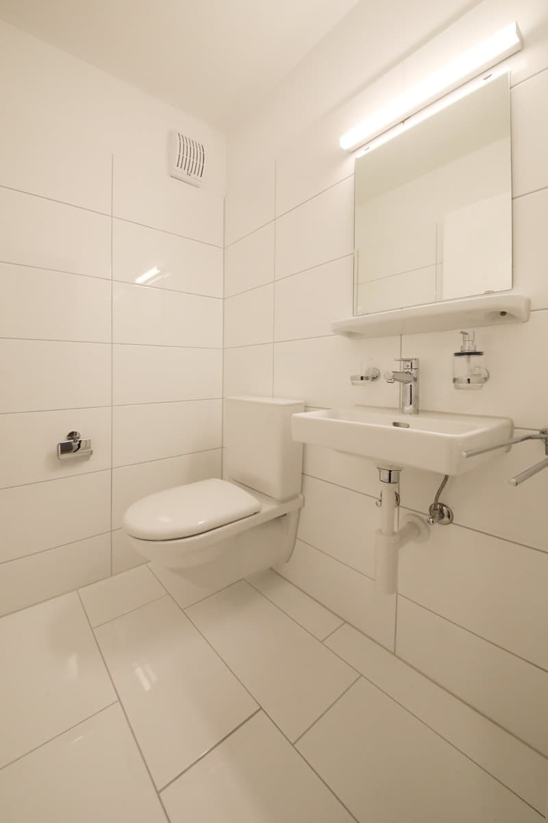 Sonnige 3.5 Zimmer-Wohnung (85m2) mit grossem Balkon (16m2) (8)