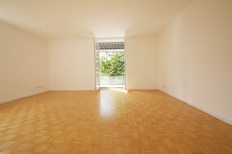 Appartement 3 pièces entretenu avec grand balcon, absolument calme, près de Nordbrücke (3)