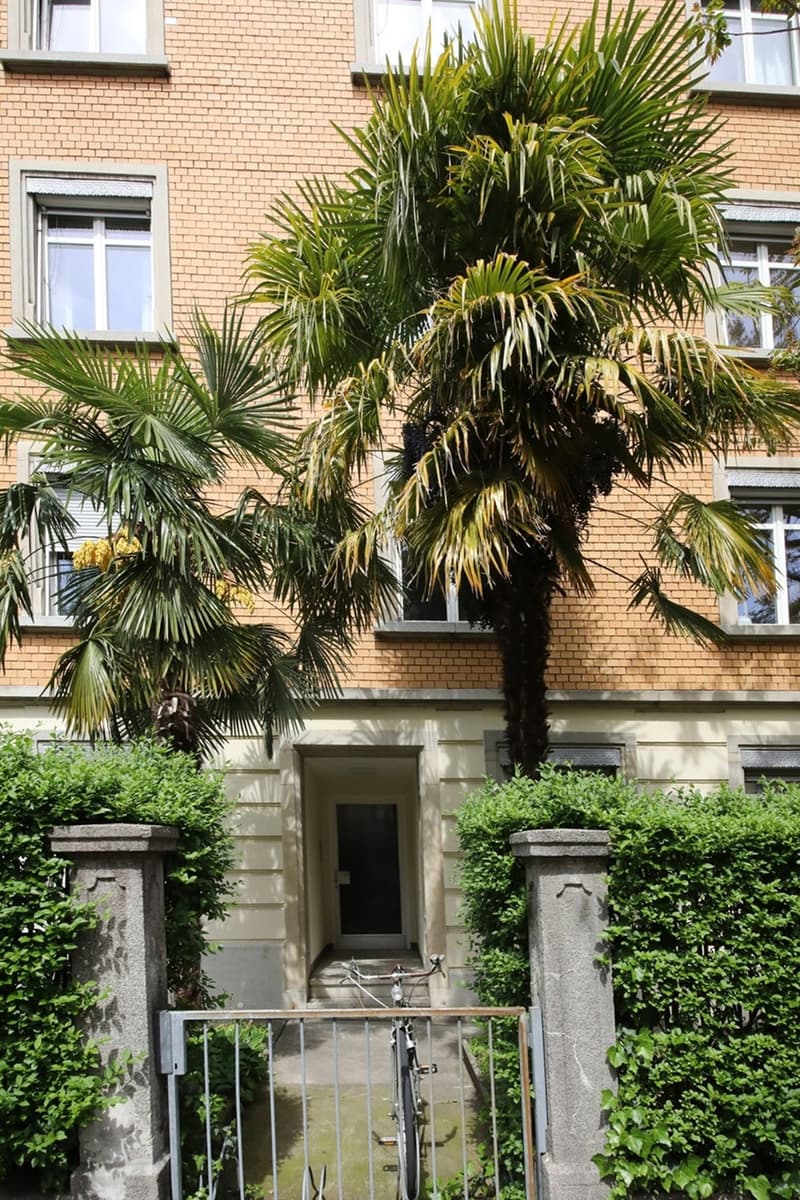 Charming 3.5-room apartment / old building with 2 balconies, quiet location, Wiedikon (3)