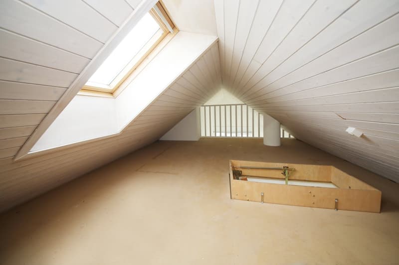 Appartamento mansardato curato e rinnovato (86 m2) con terrazza (10 m2) (10)
