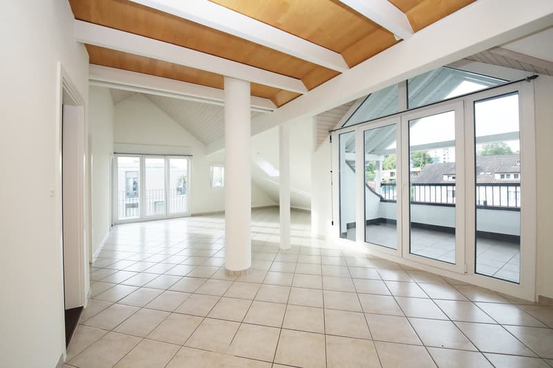 Appartamento mansardato curato e rinnovato (86 m2) con terrazza (10 m2) (2)