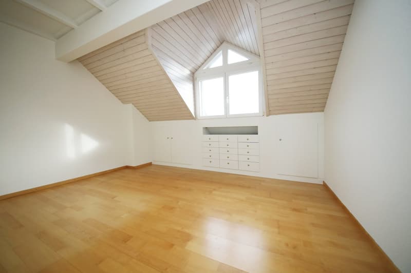 Appartamento mansardato curato e rinnovato (86 m2) con terrazza (10 m2) (5)