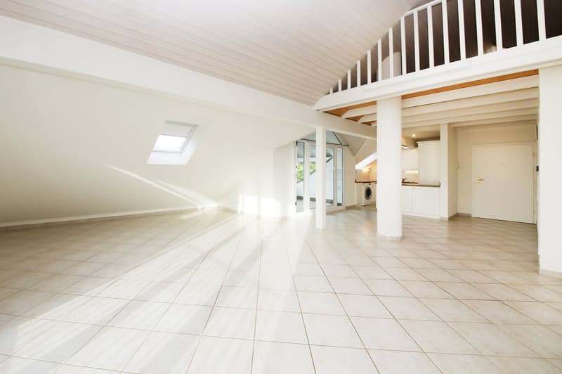 Appartamento mansardato curato e rinnovato (86 m2) con terrazza (10 m2) (1)