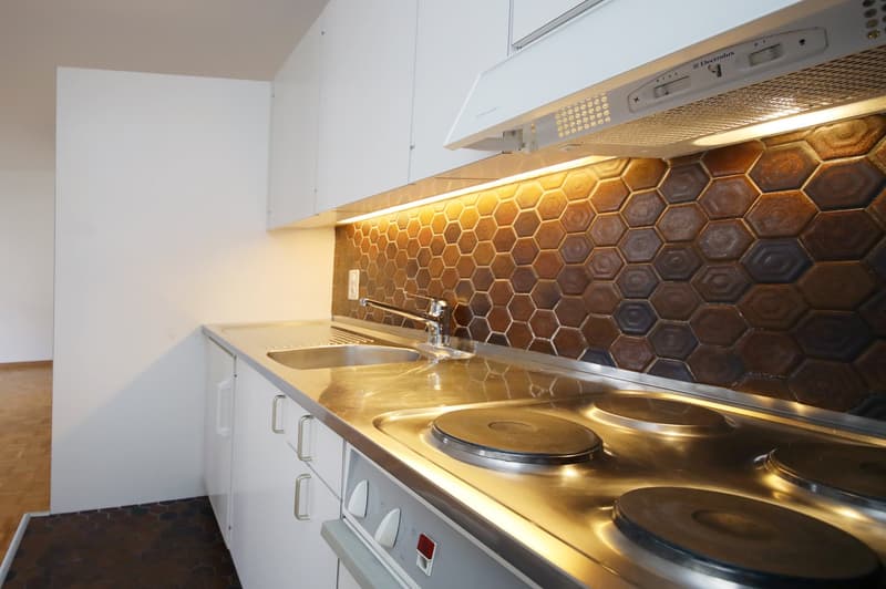 Well-maintained 2-room apartment, near Oberer Letten - Wipkingen (5)