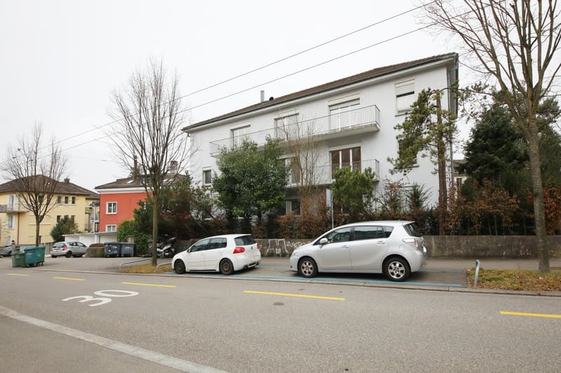 Well-maintained 2-room apartment, near Oberer Letten - Wipkingen (7)