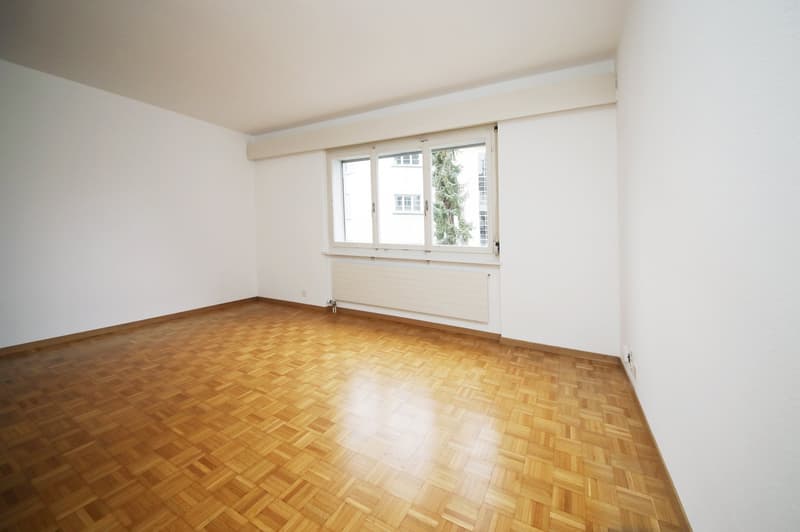 Well-maintained 2-room apartment, near Oberer Letten - Wipkingen (6)