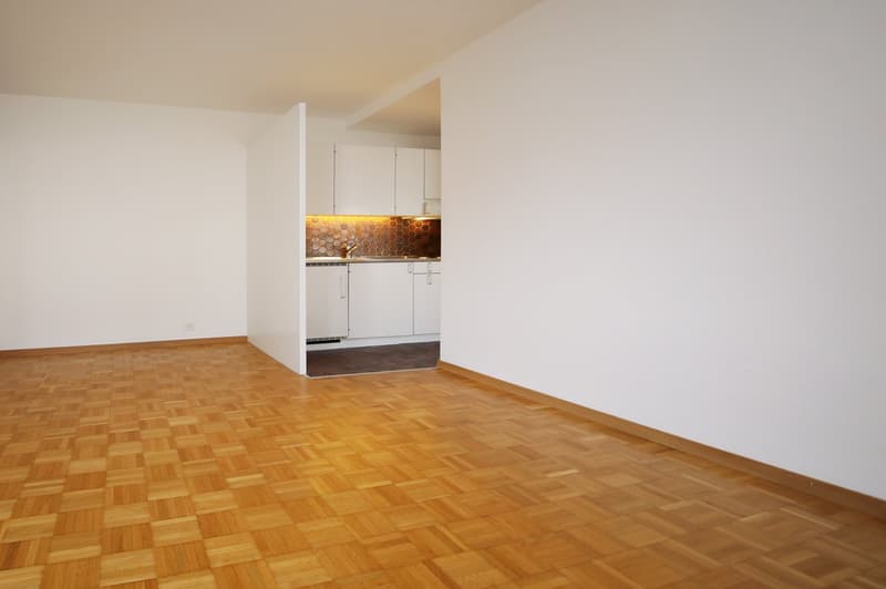 Well-maintained 2-room apartment, near Oberer Letten - Wipkingen (1)