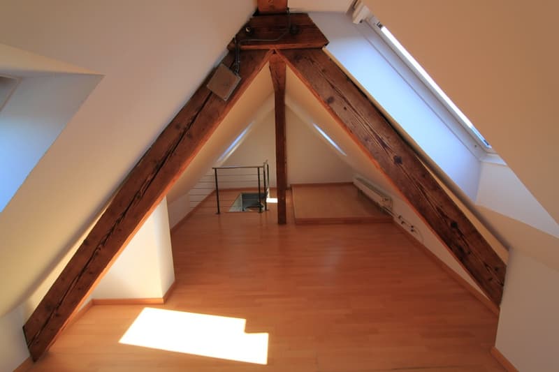 Appartamento mansardato di 4 locali ben mantenuto con balcone (LIMITATO FINO AL 31.03.2027) (3)
