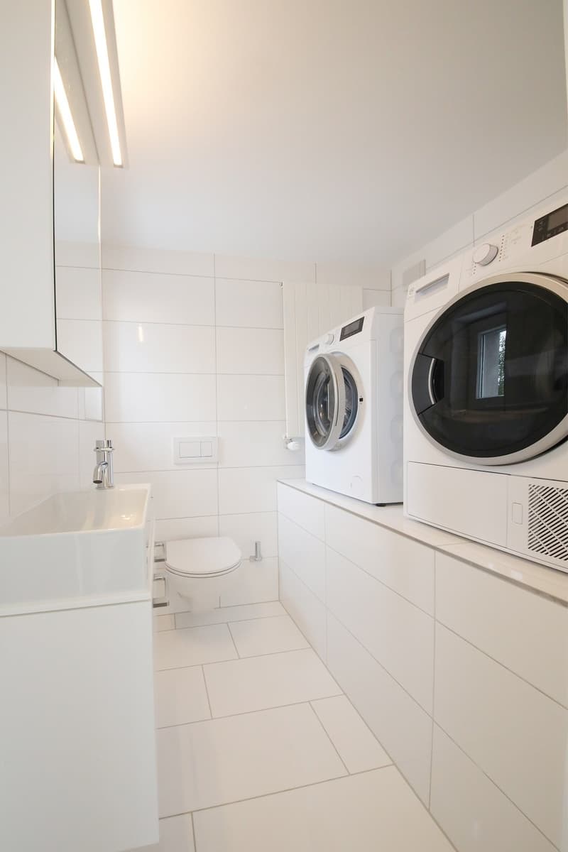Superba appartamento-mansarda di 3 1/2 locali (115 m2) con 2 terrazze, Stauffacher (13)