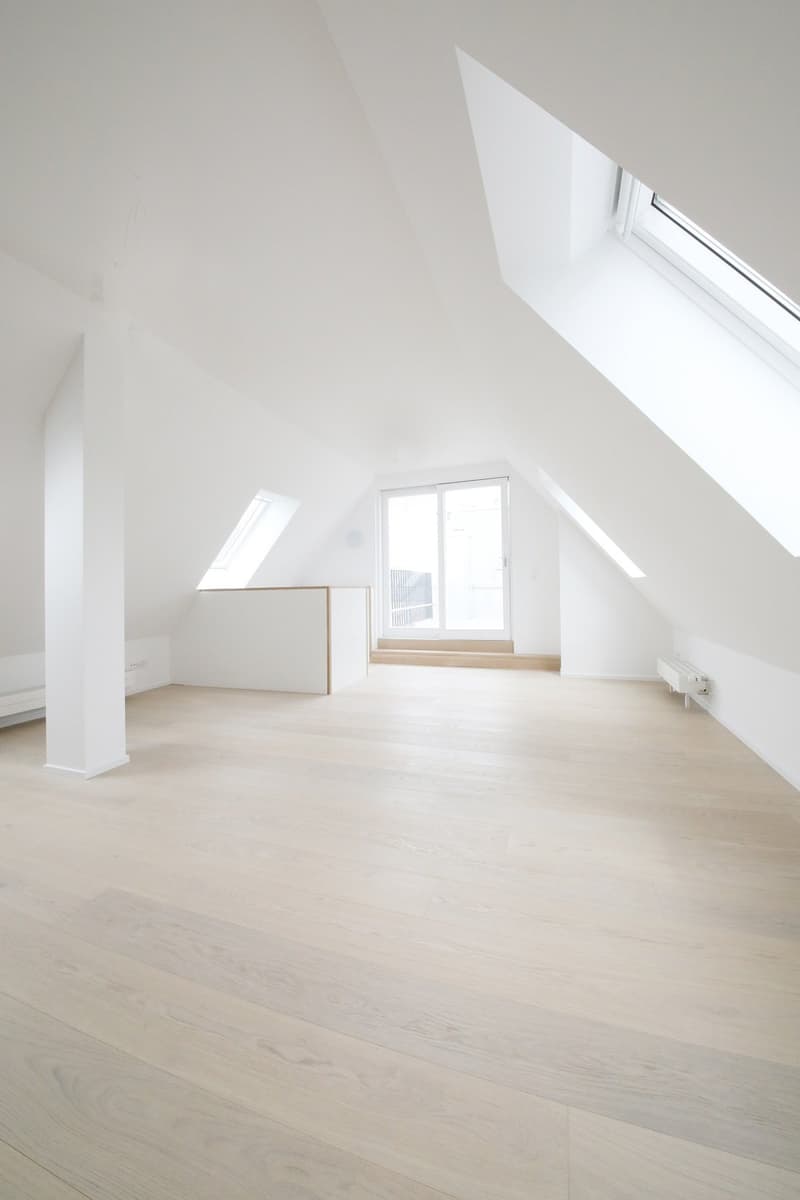 Superba appartamento-mansarda di 3 1/2 locali (115 m2) con 2 terrazze, Stauffacher (11)
