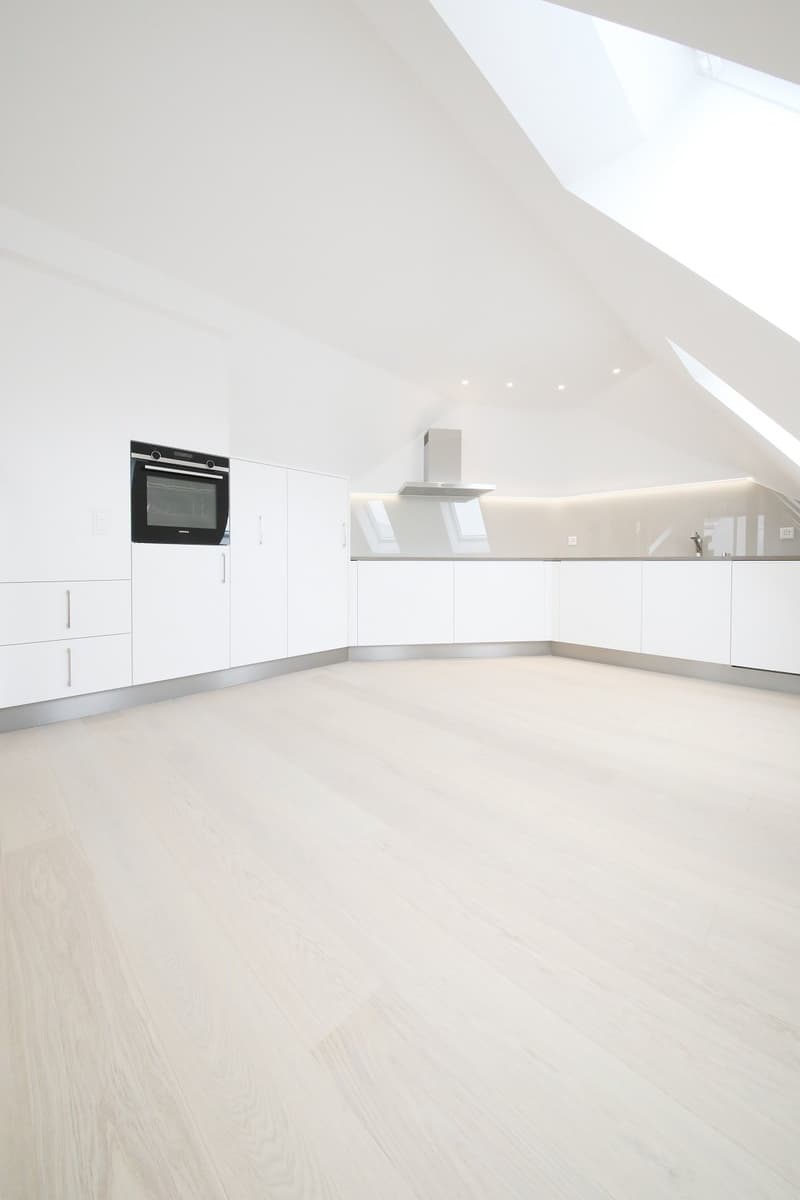 Superba appartamento-mansarda di 3 1/2 locali (115 m2) con 2 terrazze, Stauffacher (2)