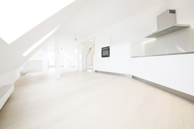 Superba appartamento-mansarda di 3 1/2 locali (115 m2) con 2 terrazze, Stauffacher (3)