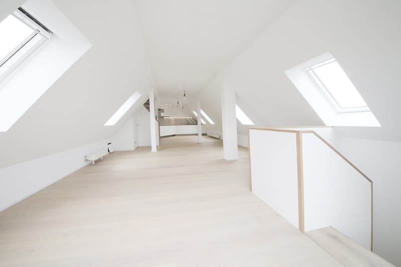 Superba appartamento-mansarda di 3 1/2 locali (115 m2) con 2 terrazze, Stauffacher (10)