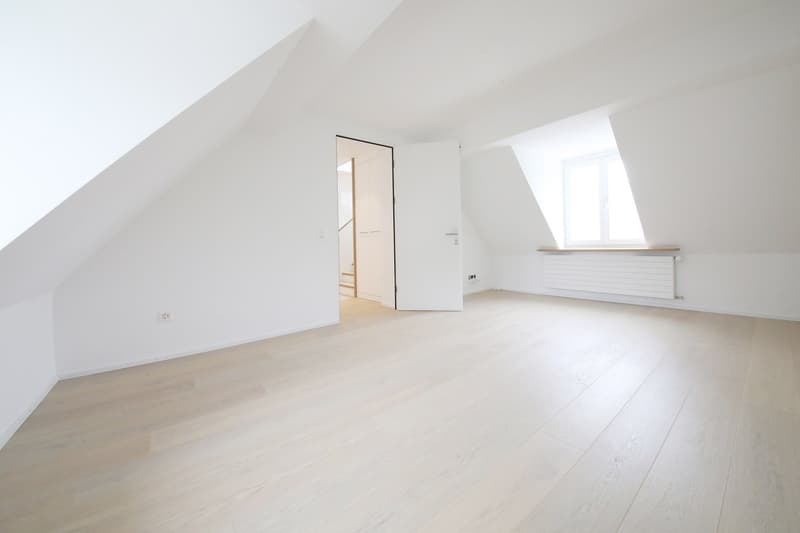 Superba appartamento-mansarda di 3 1/2 locali (115 m2) con 2 terrazze, Stauffacher (7)