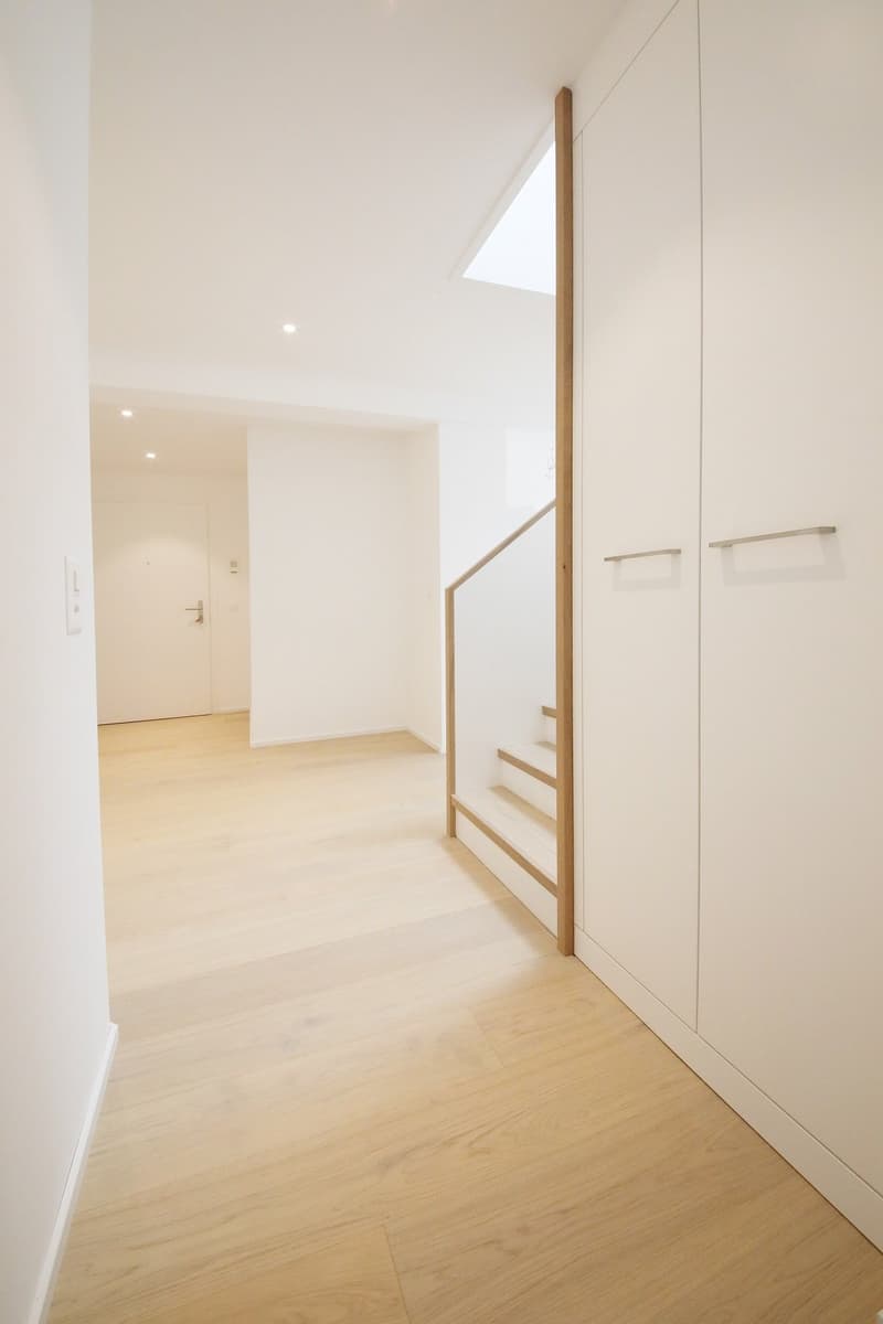 Superba appartamento-mansarda di 3 1/2 locali (115 m2) con 2 terrazze, Stauffacher (8)