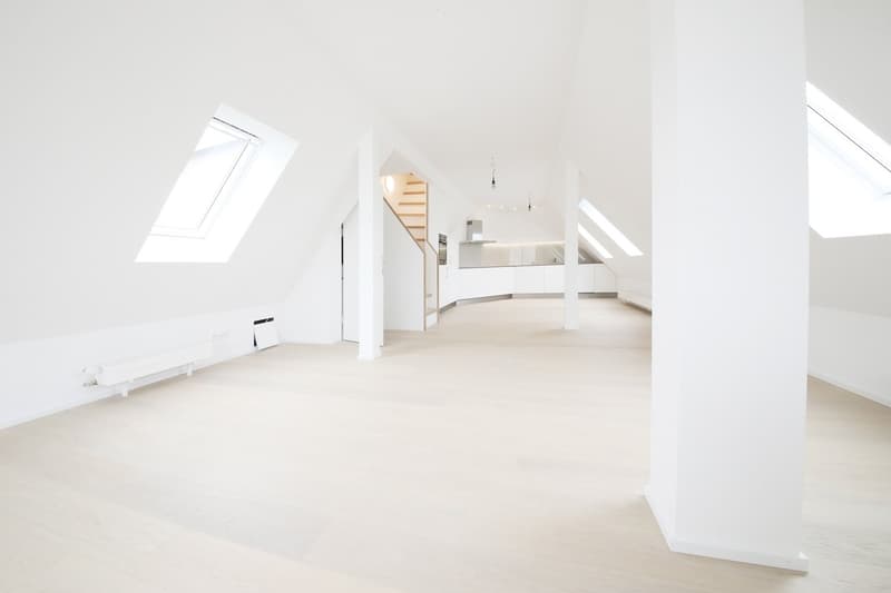 Superba appartamento-mansarda di 3 1/2 locali (115 m2) con 2 terrazze, Stauffacher (1)