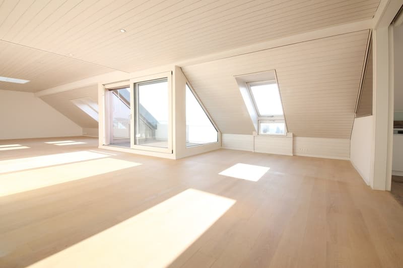 Top ausgebaute 3-Zimmer-Dachwohnung mit 2 Dachterrassen, Kreis 6 (1)