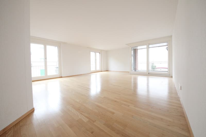 Top ausgebaute 2.5 ZW (80m2) mit Balkon und eig. Waschküche, Kreis 6 (1)