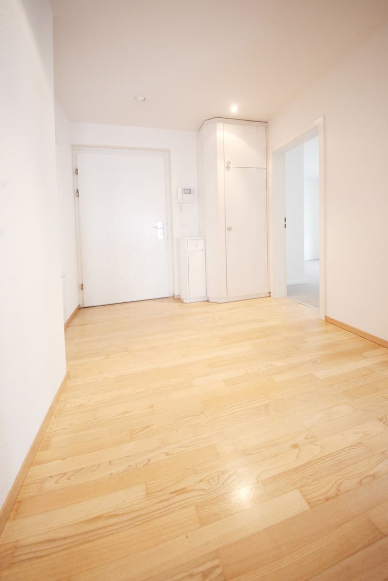 Top ausgebaute 2.5 ZW (80m2) mit Balkon und eig. Waschküche, Kreis 6 (2)
