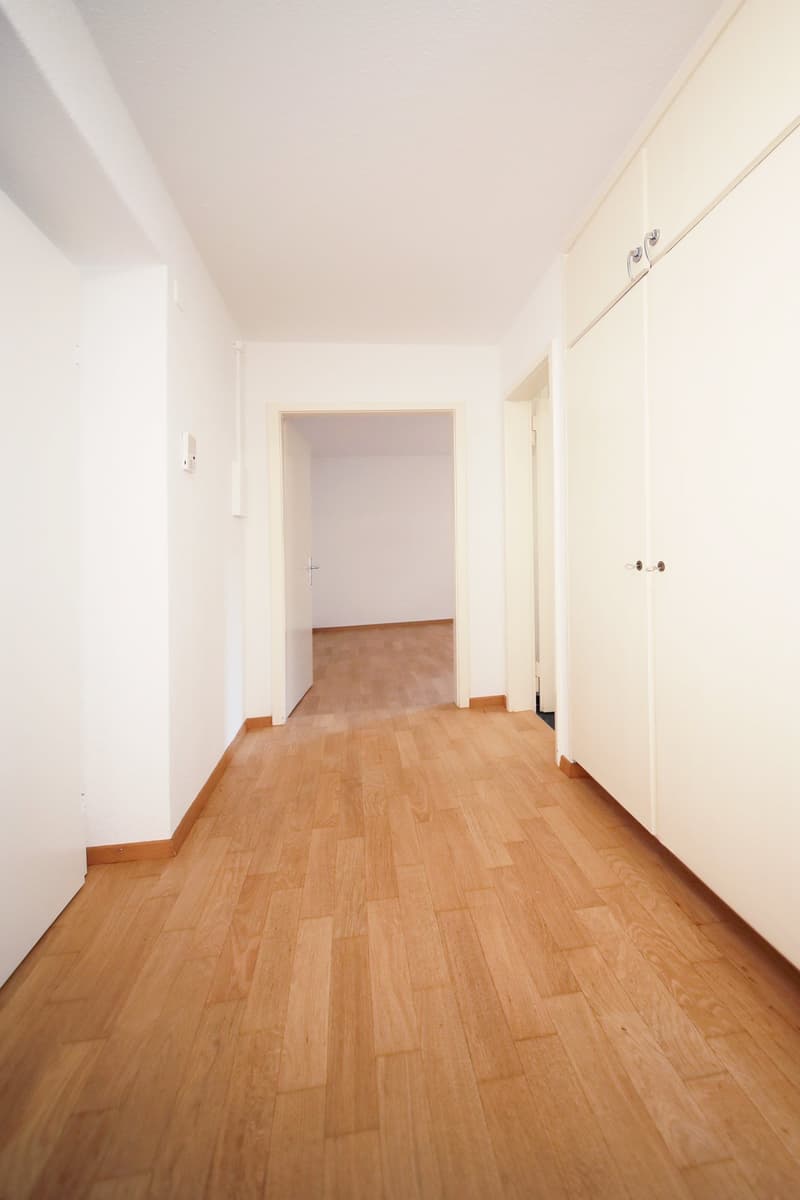 renoviertes grosszügiges Studio mit 30 m2, grosser Küche und Bad/WC (6)