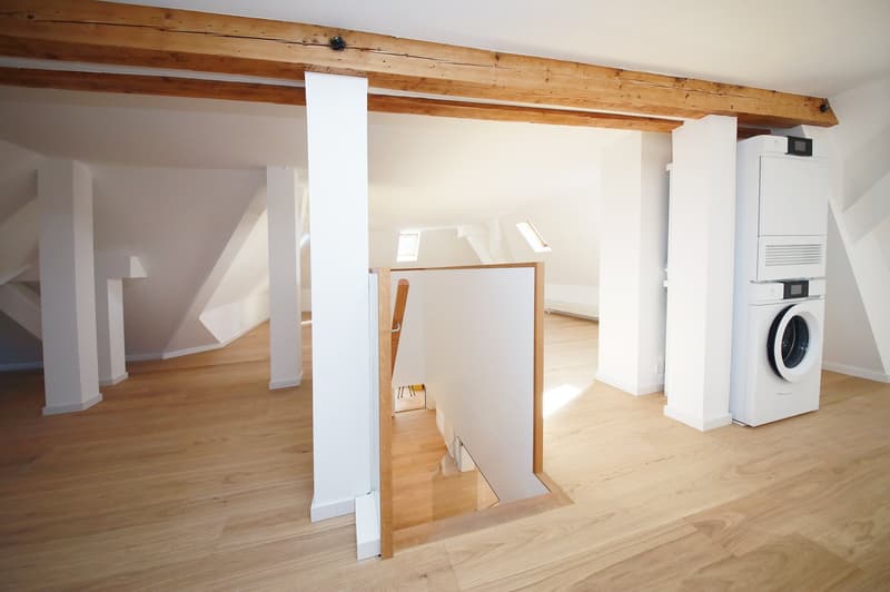 Stilvoll renovierte 5.5-Zimmer-Altbauwohnung mit eigener und Dachterrasse (9)