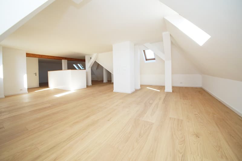 Stilvoll renovierte 5.5-Zimmer-Altbauwohnung mit eigener und Dachterrasse (10)