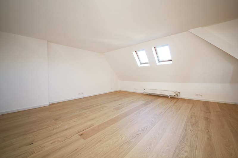 Stilvoll renovierte 5.5-Zimmer-Altbauwohnung mit eigener und Dachterrasse (11)