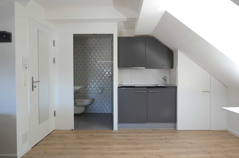 Moderne, möblierte 1-Zimmerwohnung am Schöneggplatz (6)