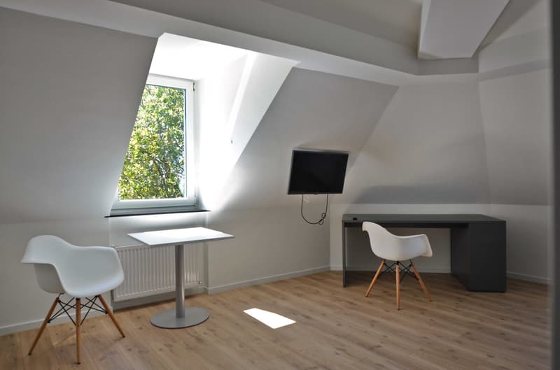 Moderne, möblierte 1-Zimmerwohnung am Schöneggplatz (1)
