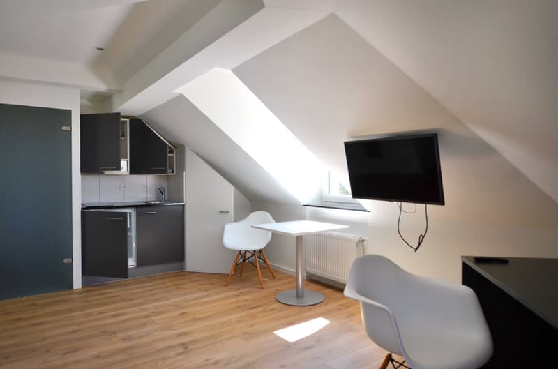 Moderne, möblierte 1-Zimmerwohnung am Schöneggplatz (2)